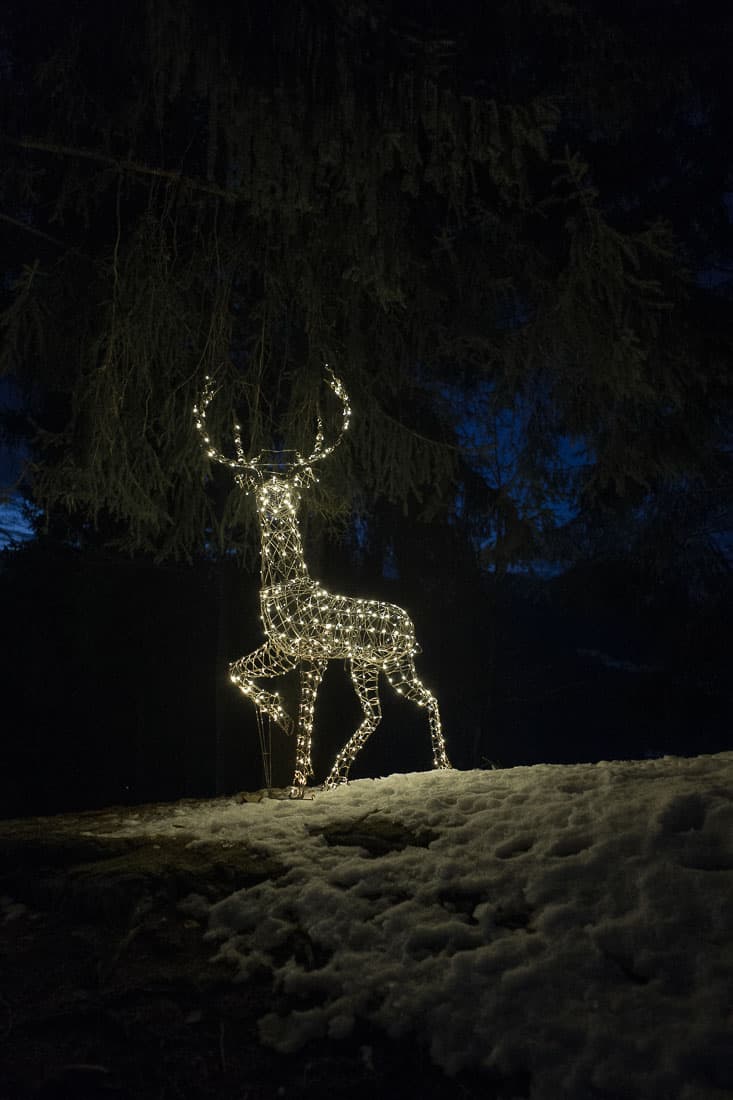 Le cerf de lumière garde la Ferme des Vonezins à Thônes dans les Aravis en Haute-Savoie