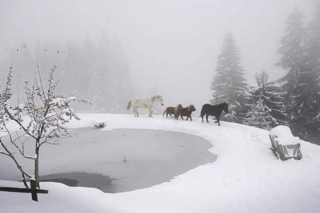 La Ferme des Vônezins votre hôtel de charme, chalet-chambres d’hôtes, spa & restaurant d’alpage dans les Aravis à Thônes en Haute-Savoie entre le Lac d’Annecy, la Clusaz & le Grand-Bornand