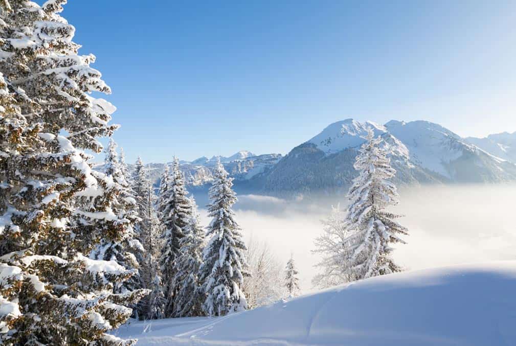 La Ferme des Vônezins votre hôtel de charme, chalet-chambres d’hôtes, spa & restaurant d’alpage dans les Aravis à Thônes en Haute-Savoie entre le Lac d’Annecy, la Clusaz & le Grand-Bornand