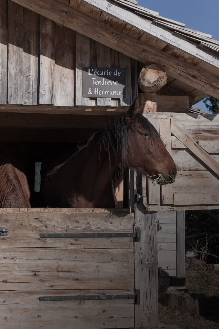 lafermedesvonezinshoteldecharmechaletchambredhoterestaurant